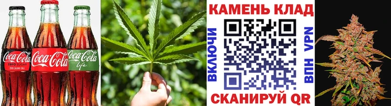 закладка  Медногорск  Cannafood конопля 