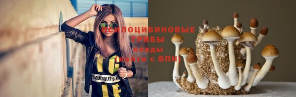 2c-b Аркадак